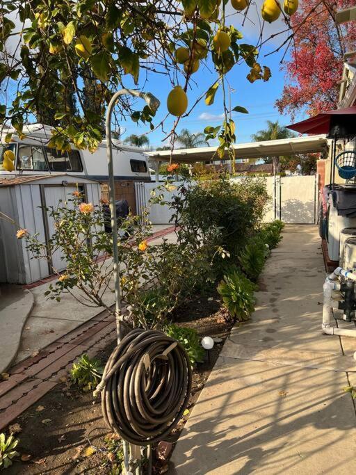 Holiday home Luxury Oasis W/pool Near Csun-6 Guests *